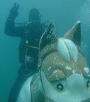 divemaster's Avatar