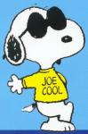 Joe_Cool's Avatar