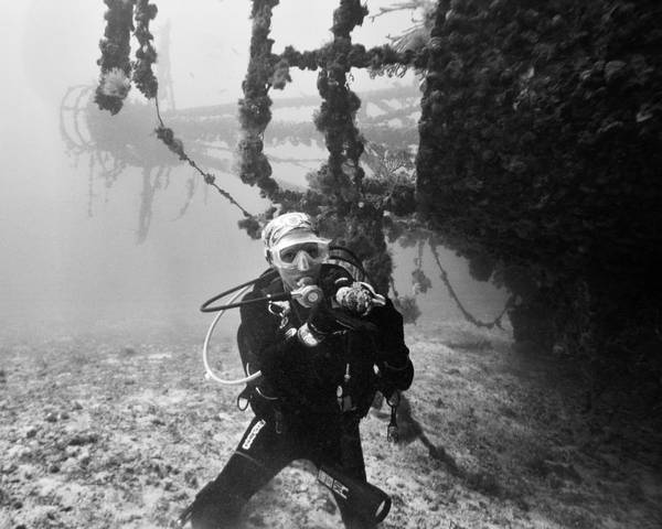 Pamela, Hermit Crab, Bibb wreck - Key Largo