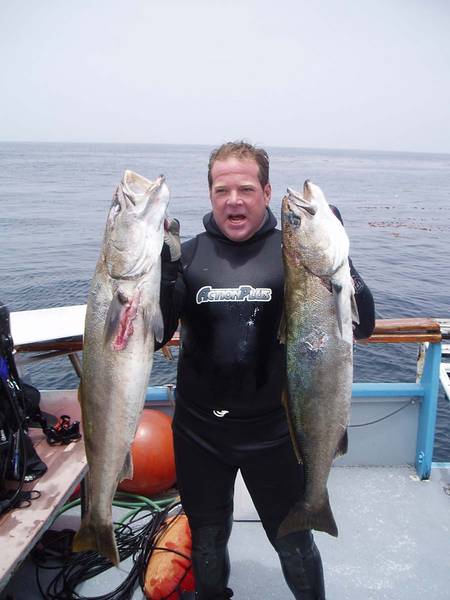 2WhiteSeaBass1