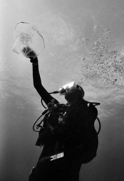 Playin with a Moon Jelly