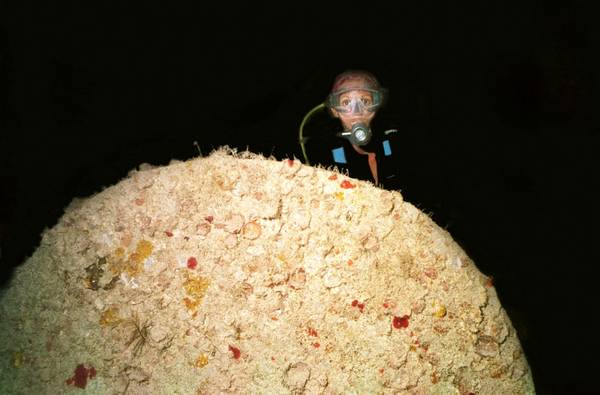 Pamela posing behind the prop of the Spiegel Grove