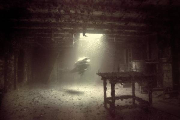 Ghost Diver of the Grove