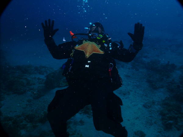 killer starfish