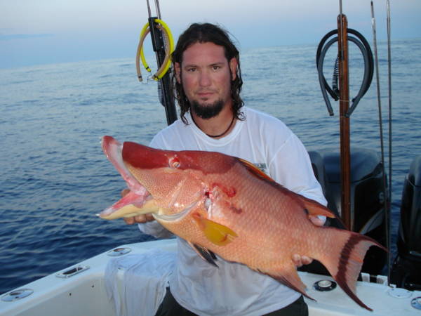 Middle Grounds Hogfish