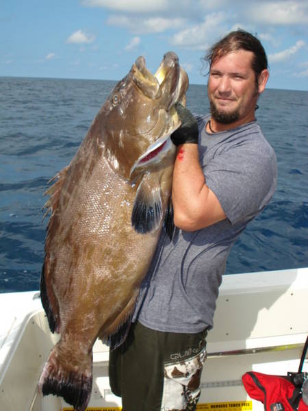 74 lb Carbo