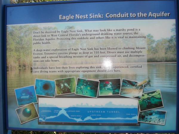 Eagles nest
