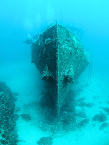 Imperial Eagle, Malta