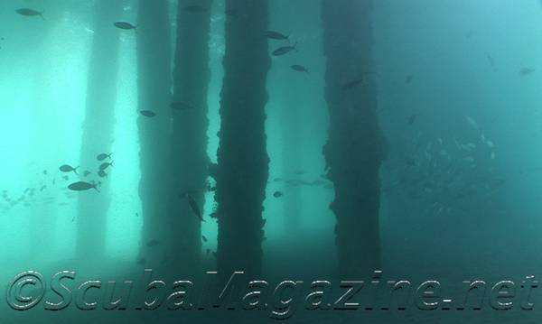 DuCoMi Pier Photo