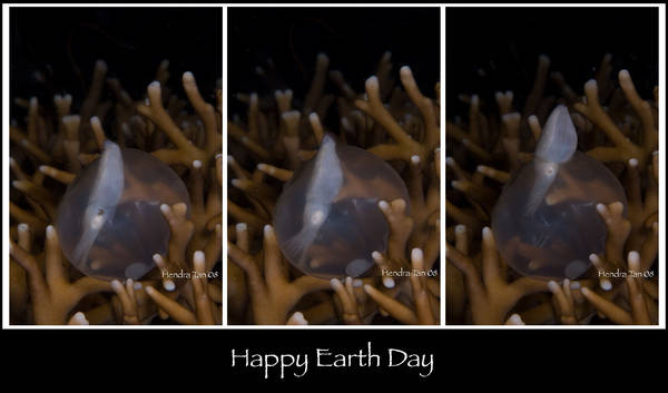 Happy earth Day...