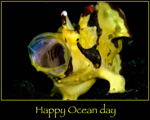 Happy Ocean Day 08 July
