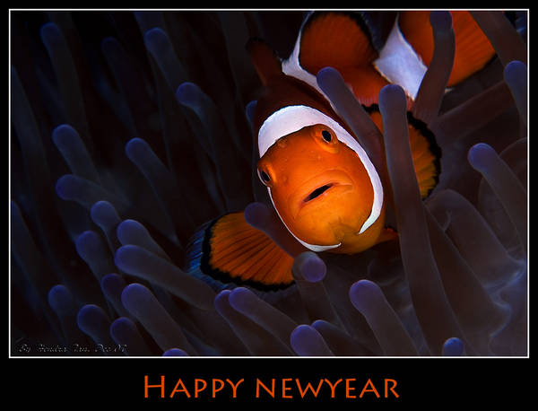 Happy newyear