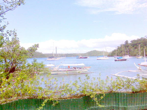 view from the pier / patio of Badladz/Titan Divers