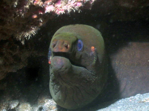 cabo san lucas image 0442