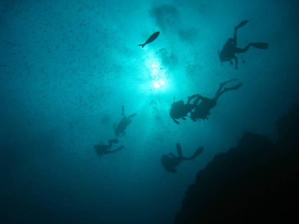 Koh Tao , Thailand