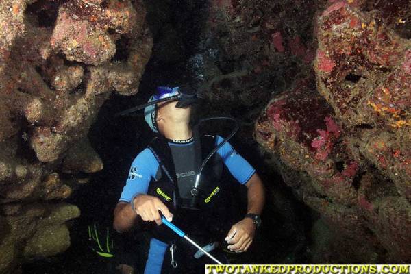 Dive Master in the Cathedral in Spooky Channel