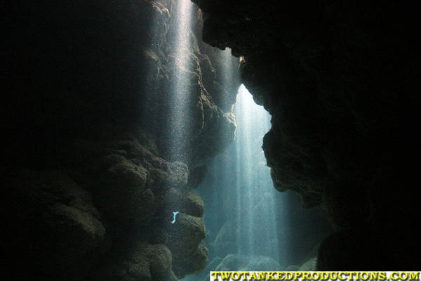 The Cathedral in Spooky Channel Roatan Honduras