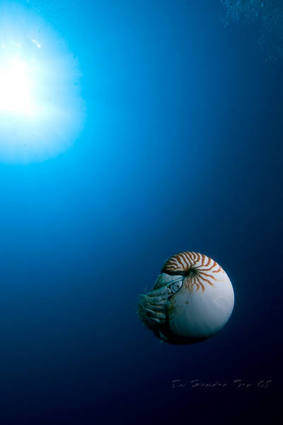 Inside the deep blue....