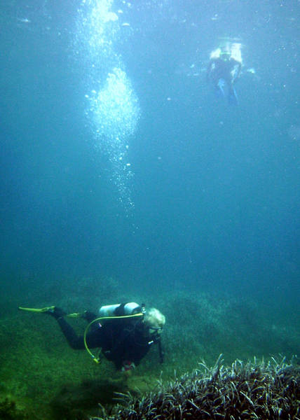 Diver &amp; Snorkeler