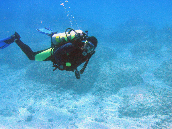 Bimini Road - 2006