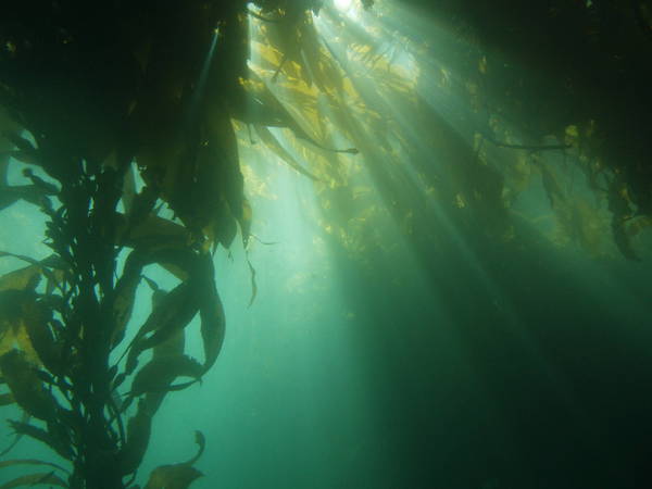 Monterey California
