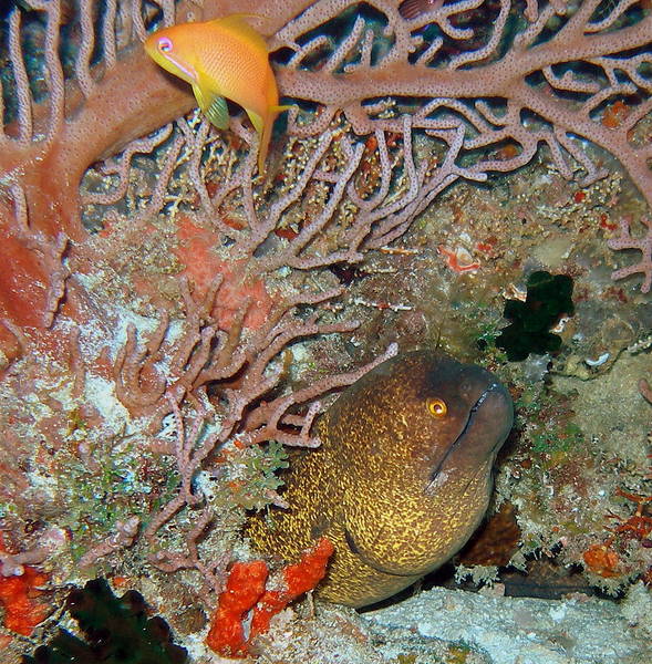 P9010359