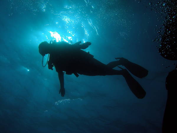 Diver Sillouhette