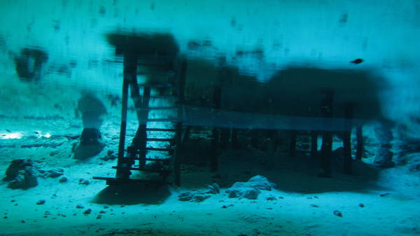 Pet Cemetery Cenote