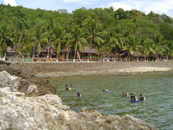 Picture_001