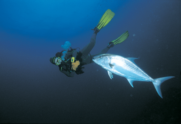 Diver &amp; Jack
