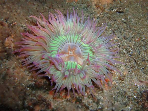 Can you believe this was taken in Monterey California