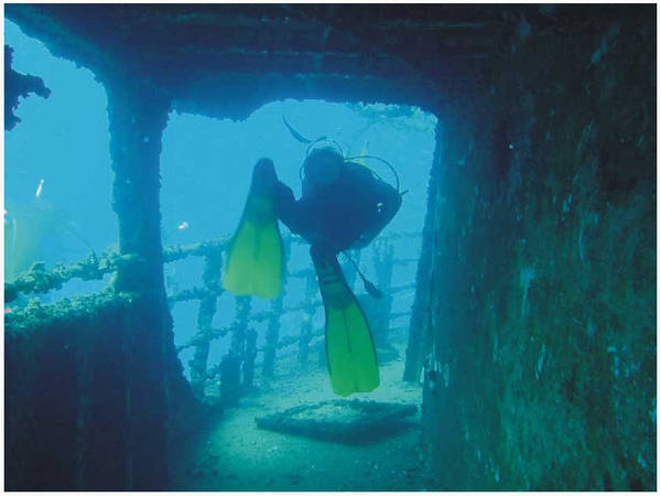 Wreck of the Karma