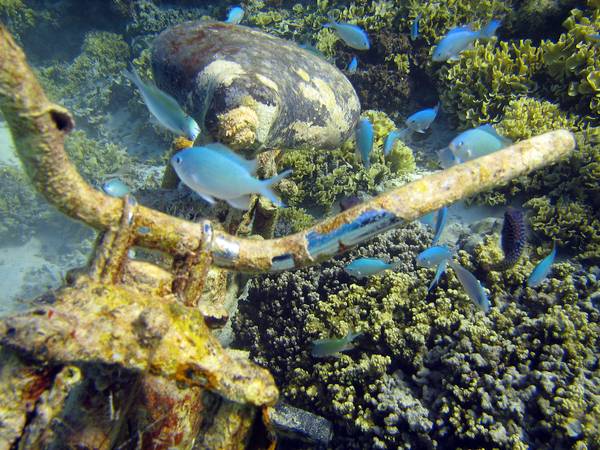 philippe-madeira-2