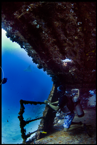 Watching rays fly overhead, Cancun, Mexico