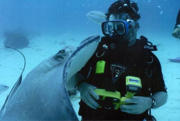 Stingray City, Grand Cayman (2001)