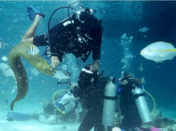 Feeding the Moray, Grand Cayman (2001)