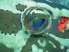 DSCN2169_edited-1.jpg