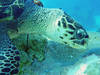 DSCN2343_edited-1.jpg