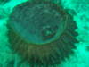 DSCN2753.JPG