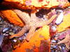 La_Buffadora_9-29-07_313.jpg
