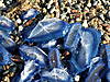 PICT0034.JPG