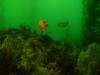 th_20080413_0214.jpg