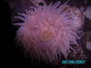 diving_with_jo-14.jpg
