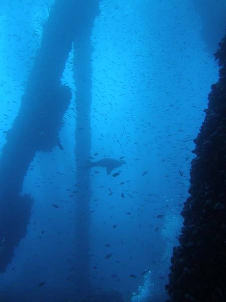 Oil_Rig_1