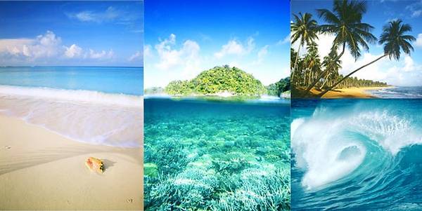 tropical