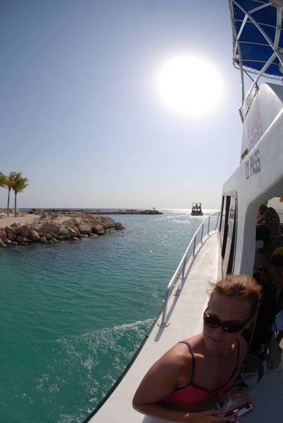 Afternoon Dive!