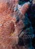 RSH_019.jpg