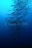 RSH_020.jpg