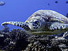 B048572web.jpg