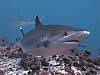PB099348web.jpg